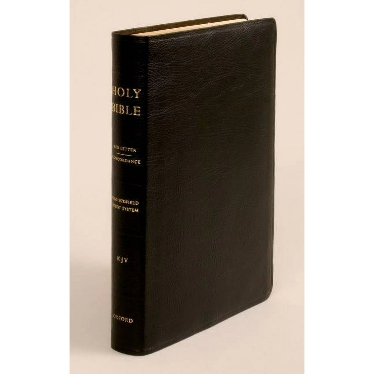 聖書：The Scofield Study Bible /NKJV(改訂欽定訳） 聖書：The Scofield Study Bible /NKJV(改訂欽定訳） レビュー高