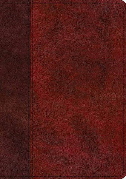 ESV Single Column Journaling Bible/Large Print-Burgundy/Red Timeless Design-TruTone