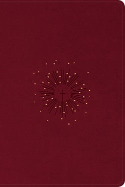 NLT Personal Size Giant Print Bible, Filament Enabled Edition Cranberry LeatherLike