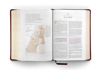 ESV Women's Study Bible TruTone Chestnut, Almond Tree Design