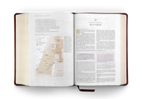 ESV Women's Study Bible TruTone Chestnut, Almond Tree Design