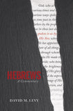 Hebrews, A Commentary