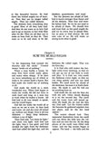The Child’s Story Bible