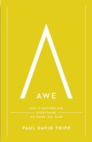 Awe: Why It Matters for Everything We Think, Say, and Do