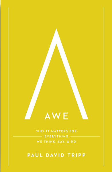 Awe: Why It Matters for Everything We Think, Say, and Do