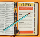 KJV Kids Bible-Brown Lion LeatherTouch