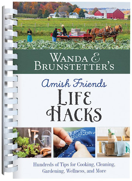 Wanda E. Brunstetter's Amish Friends Life Hacks