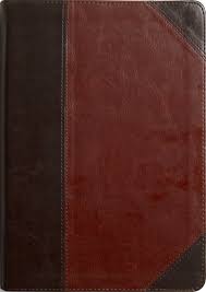 ESV Men's Study Bible TruTone Brown/Cordovan, Portfolio Design