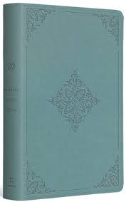 ESV Student Study Bible® TruTone Paris Sky, Fleur-de-lis Design