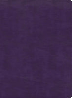 KJV Study Bible Full-Color-Plum LeatherTouch