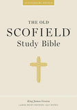 KJV Scofield Study Bible #394RRL  LARGE PRINT Black Genuine Indexed
