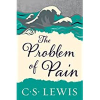 The Problem of Pain