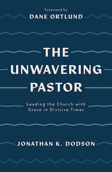 The Unwavering Pastor: Leading The Church With Grace In Divisive Times