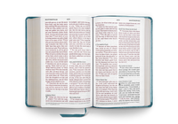 ESV Large Print Personal Size Bible Deep Teal Emblem Design TruTone
