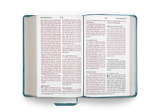 ESV Large Print Personal Size Bible Deep Teal Emblem Design TruTone