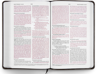 ESV Thinline Bible--TruTone Charcoal Crown