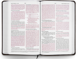 ESV Thinline Bible--TruTone Charcoal Crown