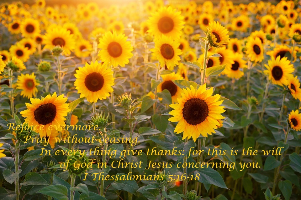 Scripture Truth