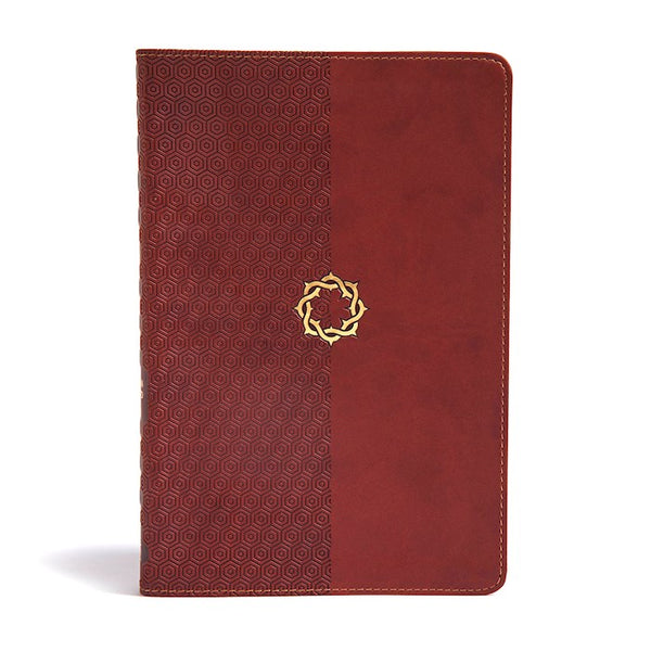 CSB Essential Teen Study Bible-Brown LeatherTouch