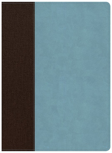 CSB Life Essentials Study Bible-Brown/Sky LeatherTouch