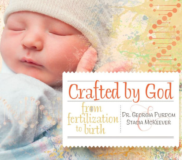 Crafted by God: From Fertilization To Birth