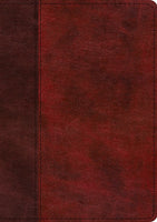 ESV Single Column Journaling Bible/Large Print-Burgundy/Red Timeless Design-TruTone