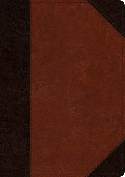 ESV Large Print/Wide Margin Bible-Brown Cordovan Portfolio Design TruTone
