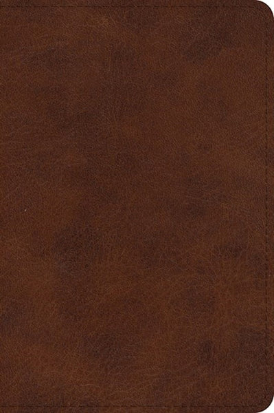 ESV Large Print Bible TruTone Deep Brown