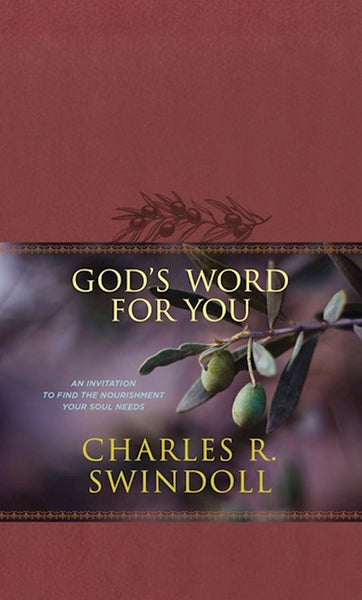 God’s Word for You: An Invitation to Find the Nourishment Your Soul Needs