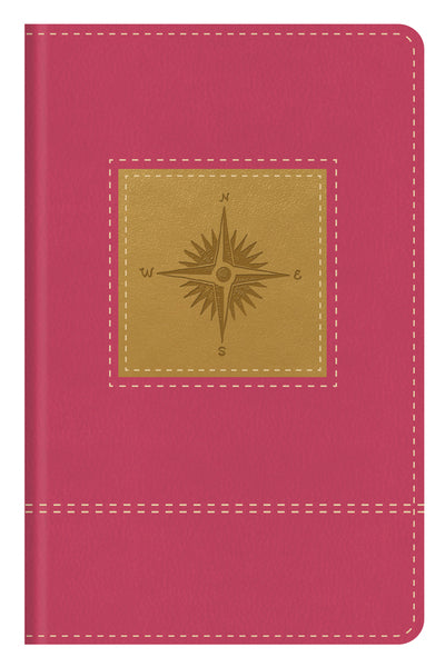 Go-Anywhere KJV Study Bible Primrose Leathersoft