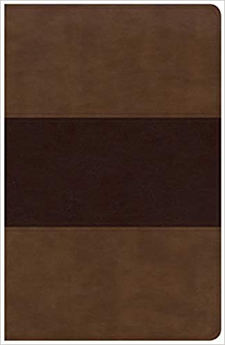 KJV Holman Large Print Personal Size Reference Bible Saddle Brown LeatherTouch Indexed