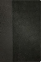 KJV Personal Size Giant Print Bible, Filament Enabled Edition Black/Onyx LeatherLike