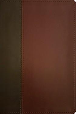 KJV Personal Size Giant Print Bible, Filament Enabled Edition Brown/Mahogany LeatherLike Indexed