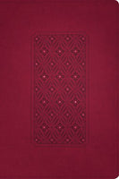 KJV Personal Size Giant Print Bible, Filament Enabled Edition Cranberry LeatherLike