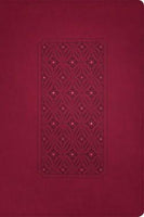 KJV Personal Size Giant Print Bible, Filament Enabled Edition Cranberry LeatherLike Indexed