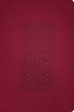 KJV Personal Size Giant Print Bible, Filament Enabled Edition Cranberry LeatherLike
