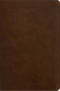 NLT Personal Size Giant Print Bible, Filament Enabled Edition Brown LeatherLike
