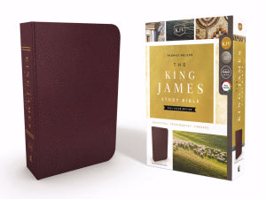KJV Study Bible Full Color Edition Burgundy Bonded Leather Indexed