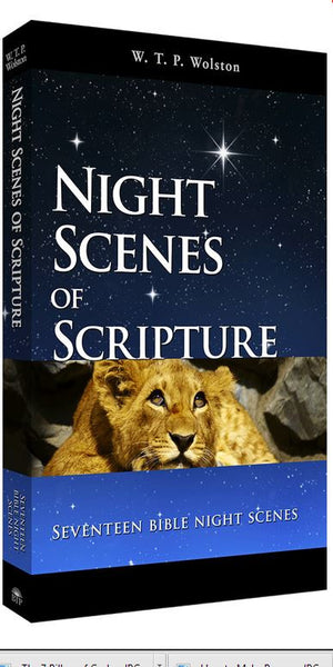 Night Scenes of Scripture- Seventeen Bible Night Scenes