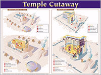 Temple Cutaway Wall Chart