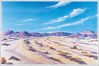 Betty Lukens Desert Overlay Scene