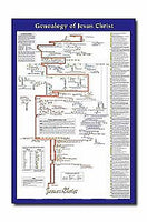 Genealogy of Jesus Christ Wall Chart - Laminated
