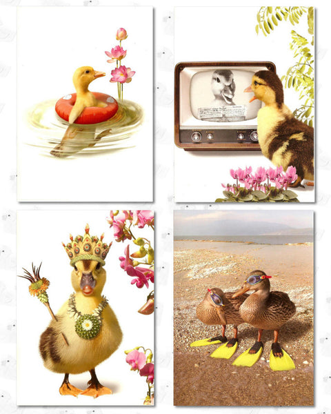 Cards- Birthday- Just Ducky